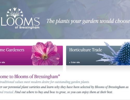 Blooms of Bressingham marketing team